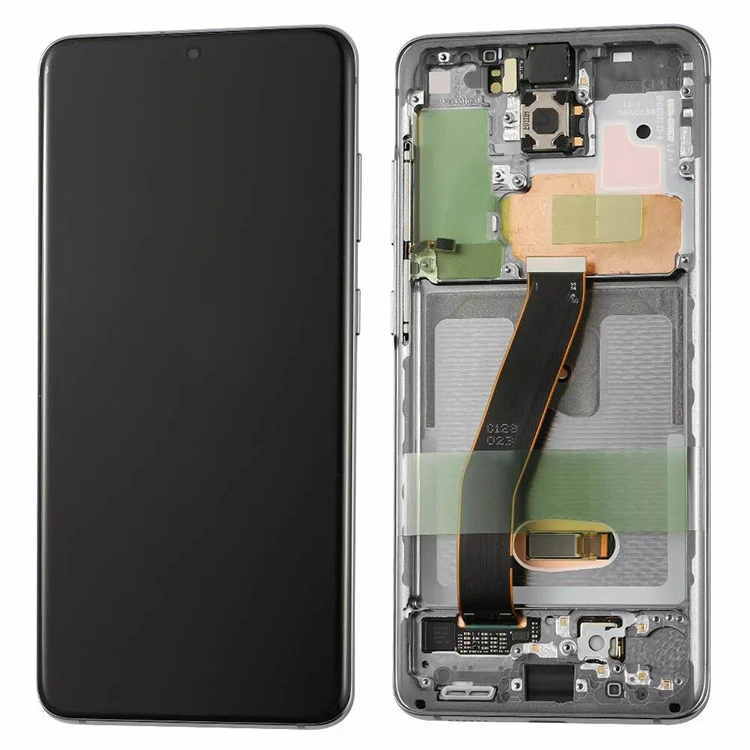 Màn hình LCD S20