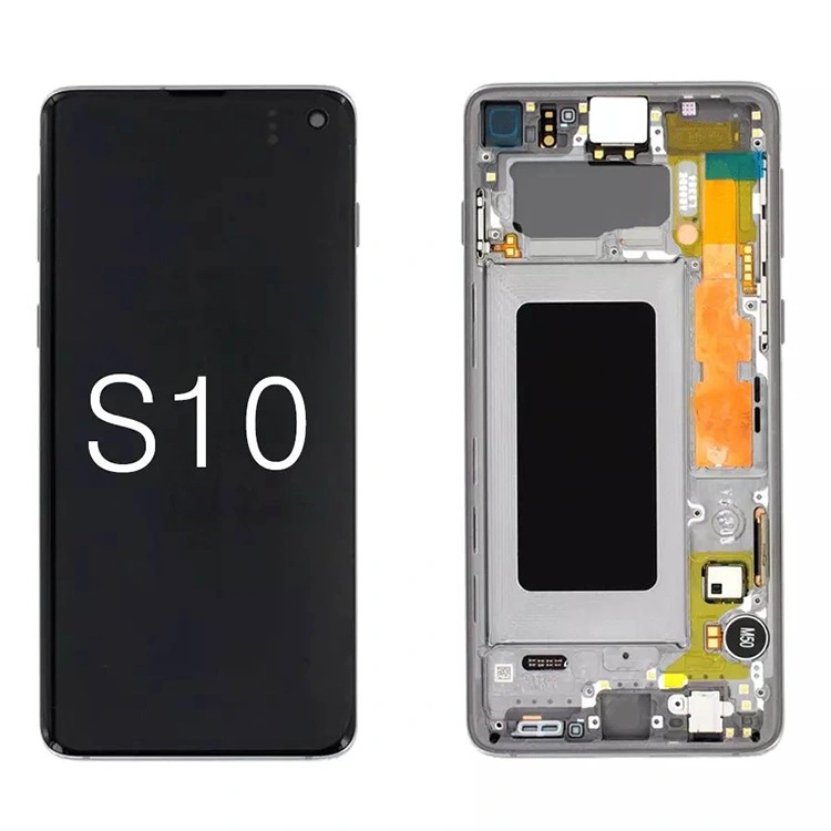 Màn hình LCD S10